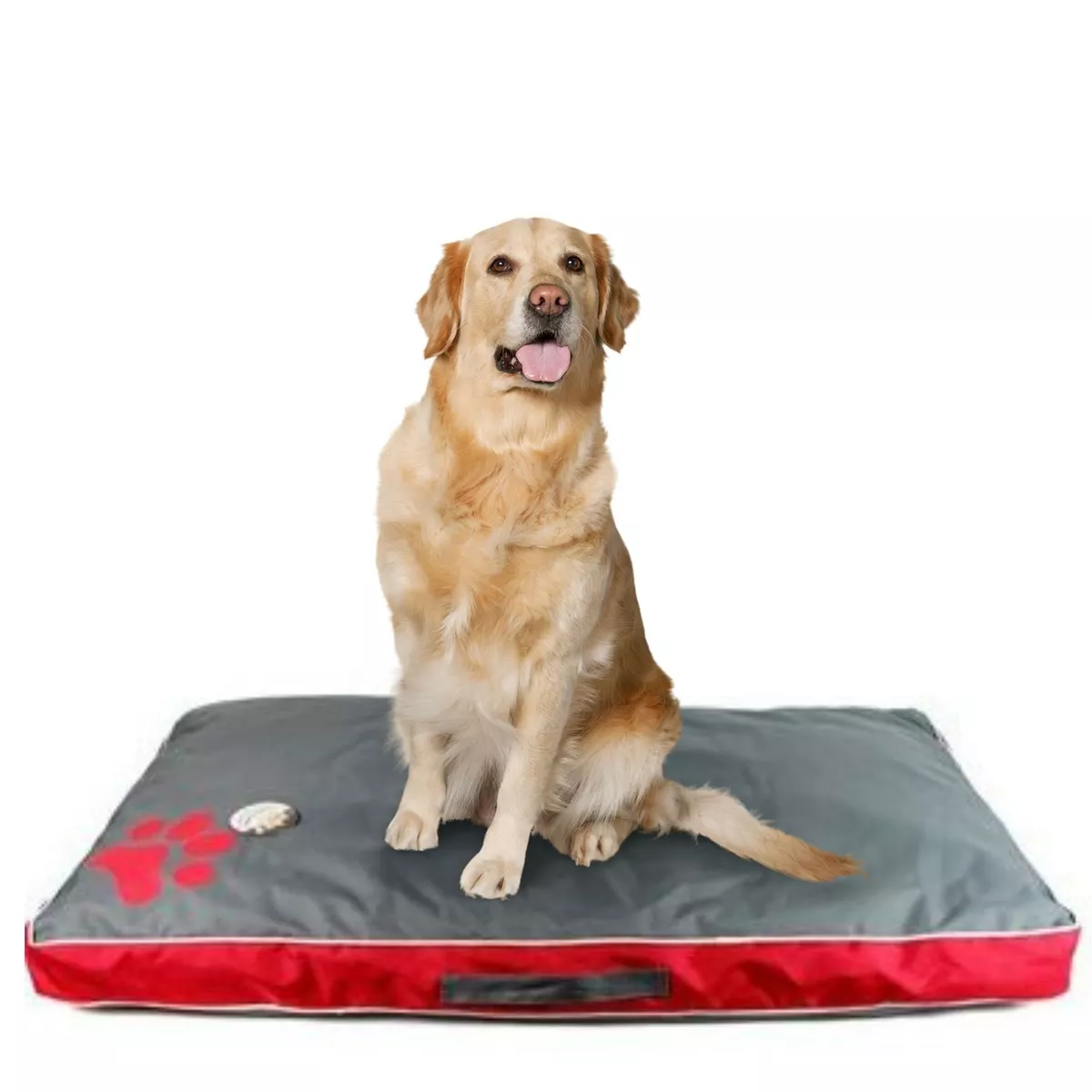 Large dog on sale bed cushion