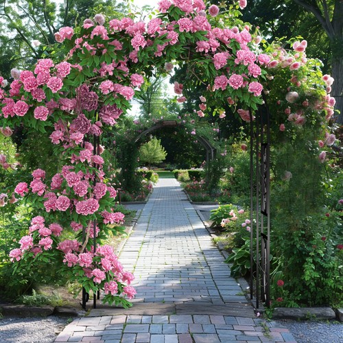 Heavy Duty Iron Garden Arbor Vine Flowers Frame Stand RUST PROOF w/ Floor Prongs - Picture 3 of 15