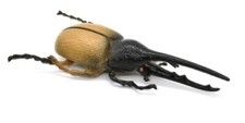 Hercules Beetle, Very Nice Rubber Reproduction     3