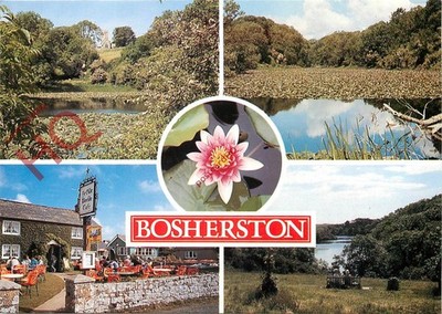 Ansichtskarte: - Bosherston, The Lily Pools & Ye Olde Worlde Cafe (Multiview)