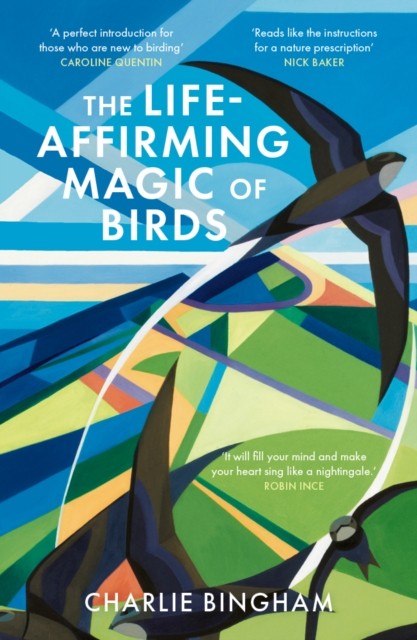 Life Affirming Magic Of Birds - Image 5