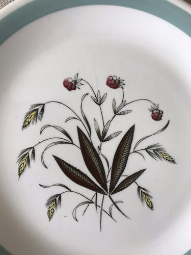 Two Alfred Meakin 1960s Hedgerow Dinner Plates - Picture 6 of 6