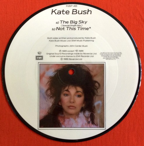 KATE BUSH -The Big Sky- Rare Original 1986 UK 7" Picture Disc (Vinyl Record)