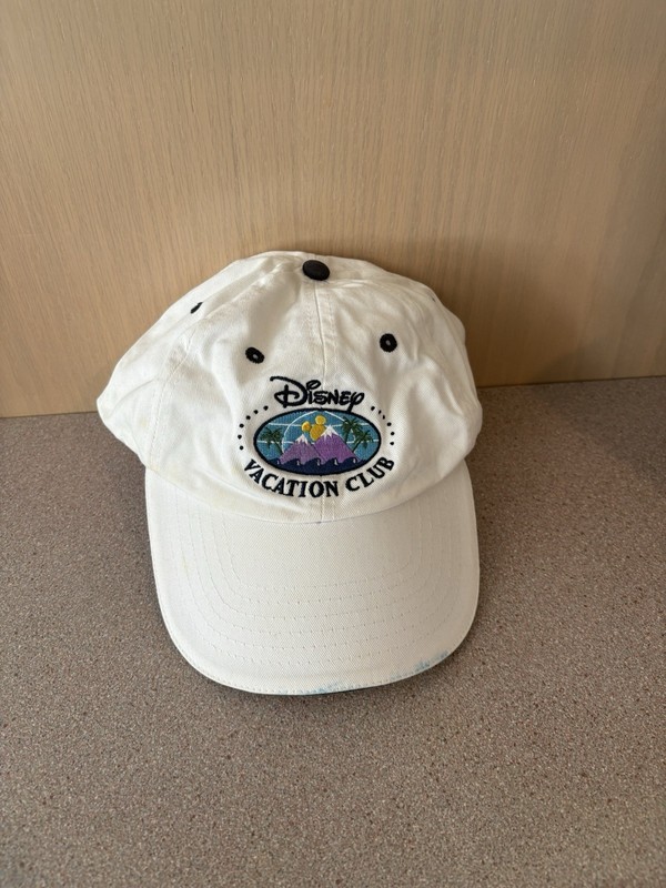 DVC Original Logi Hat