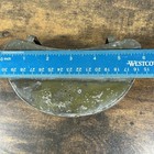 Foto 7 di 12