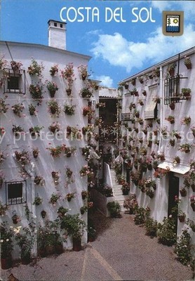 Costa Del Sol Patio Andaluz