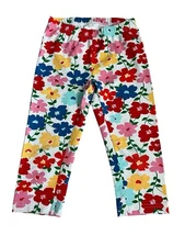 Hanna Andersson Floral Kids Girls Leggings Pants Size 8