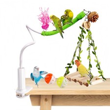 Bird Perch Stand with Swing Desktop Toy Interactive Playground Sun Conure