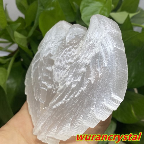 250g+ Natural Selenite Quartz Eagles Crystal carved Point skull healing gift 1PC - Picture 11 of 12