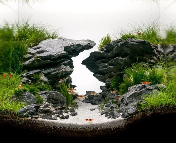 2LB GRIS PIZARRA ACUARIO PIEDRA ROCA ACUARIO PECERA CAMARÓN NATURAL BETTA Foto 2 de 3