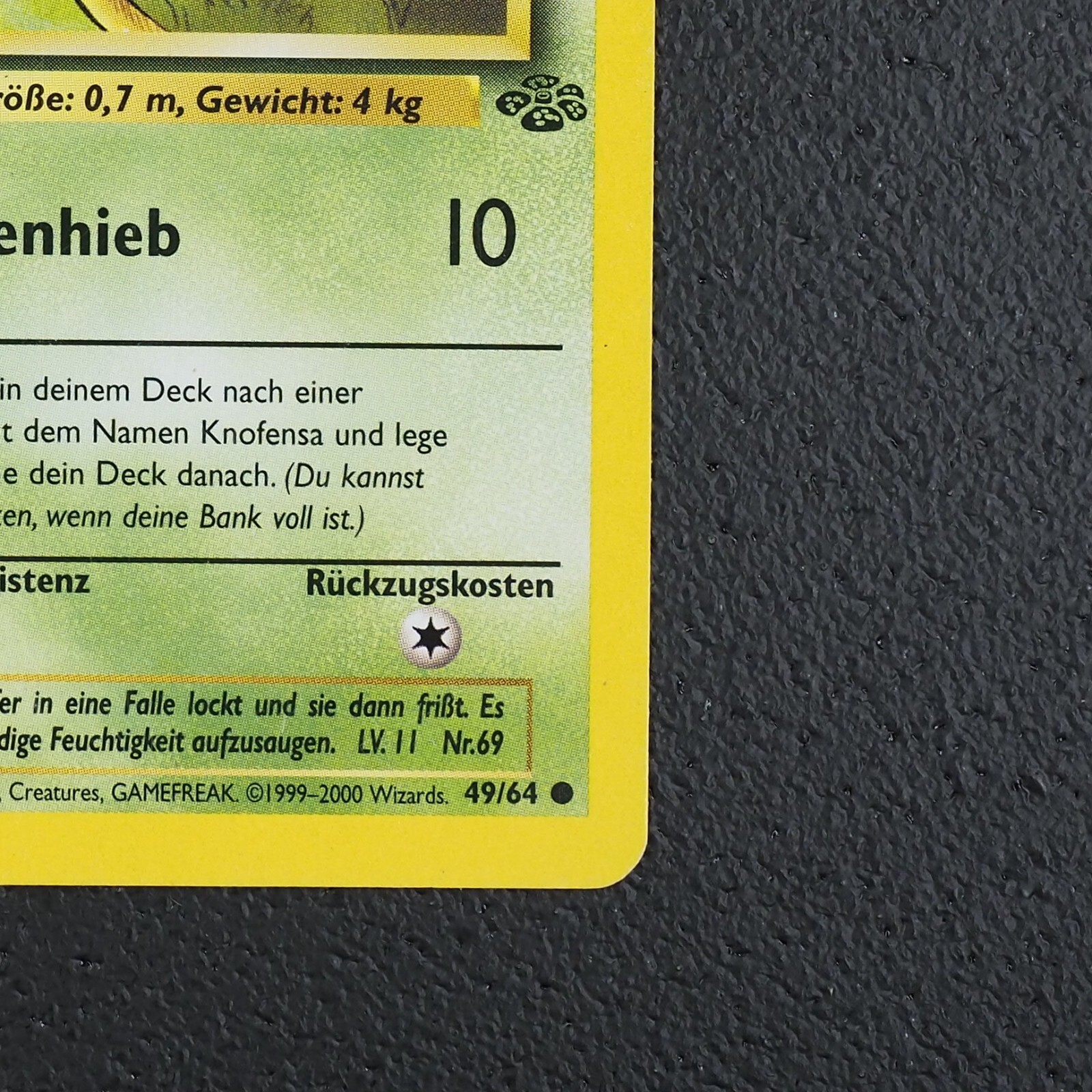 Bild 6 von 16