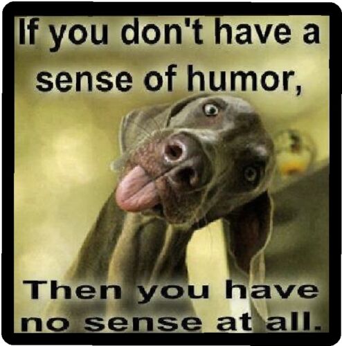 Funny Dog Humor Sense Of Humor Refrigerator Magnet | eBay