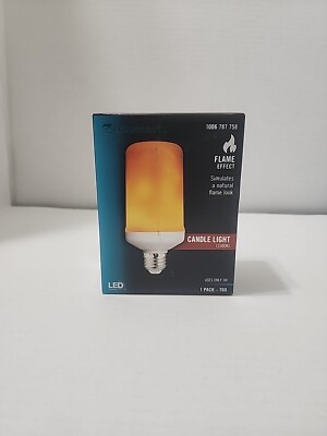 EcoSmart 3-Watt Equivalent A19 Cylinder Flame Design LED Light Bulb Amber New