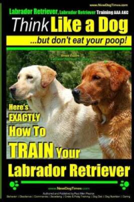 Labrador Retriever, Labrador Retriever Training AAA AKC: Think Like  - VERY GOOD