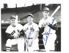 Ted Williams & Dom DiMaggio Autographed Baseball 8x10 Brace Photo Boston Red Sox