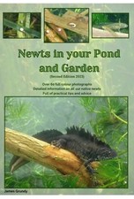 Newts In Your Pond And Garden Book
