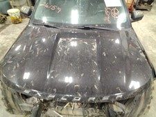 Hood Fits 20-25 Explorer 1630100