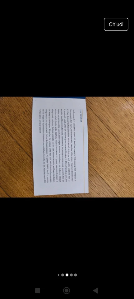 F-14 Tomcat 1:48 diecast Franklin Mint - Immagine 4 di 4