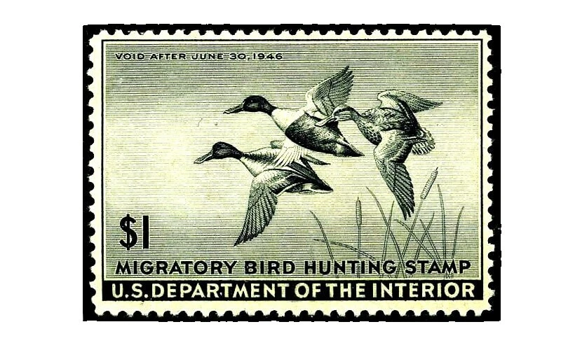 Lightly Hinged Ducks United States Stamps