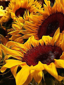 Sunflower Print Botanical Print Art Prints Wall Art Prints Home Decor Ebay