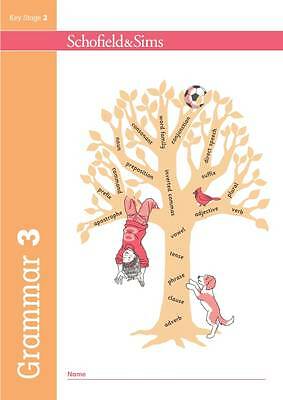 Grammar 3 by Carol Matchett (Paperback, 2017)