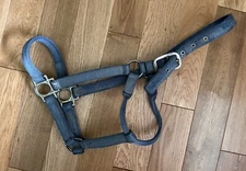 Valhoma Blue Halter Horse Size