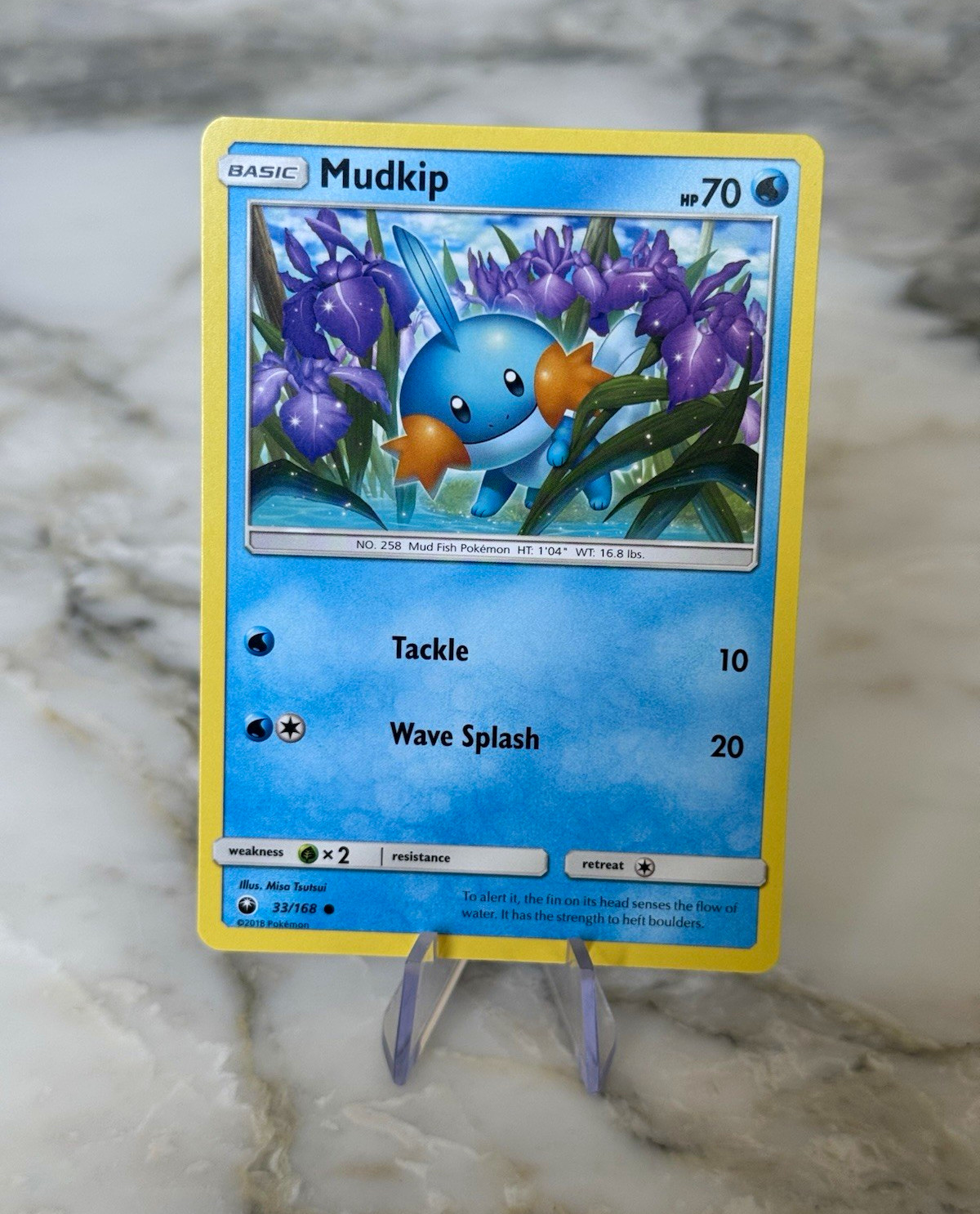 Pokemon - Mudkip 33/168 - Celestial Storm - Common - NM