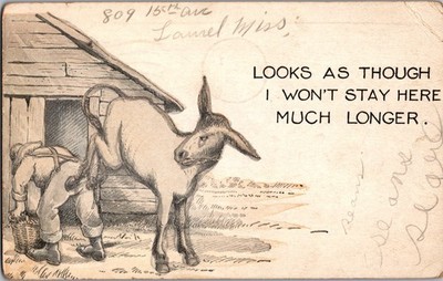 Postcard Donkey Comics Won't Stay Here Much Longer Divided Back Postmarked 1921