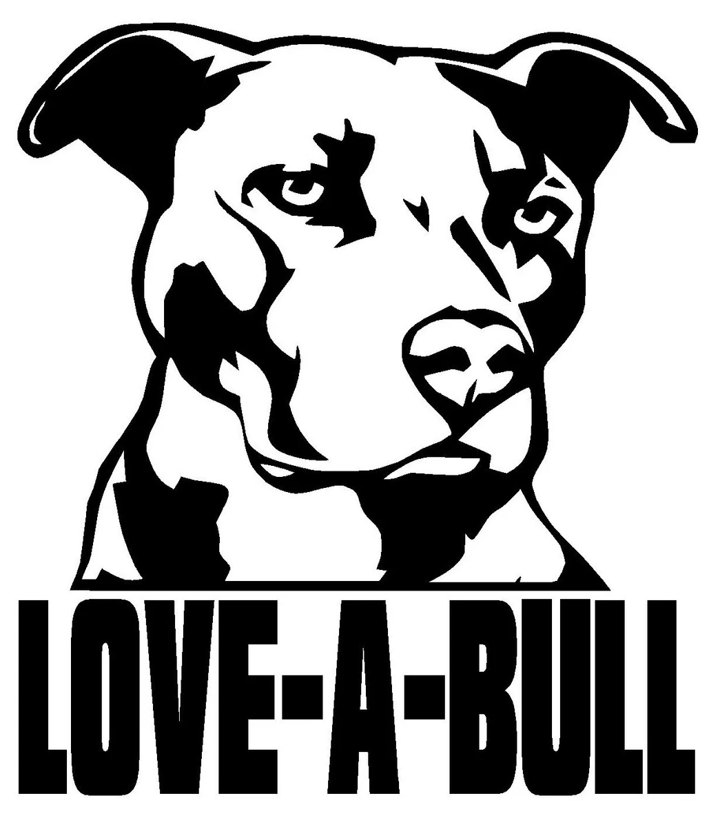 I love my cheap pitbull car decal