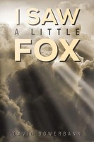I Saw A Little Fox | David Bowerbank | Taschenbuch | Englisch | 2024