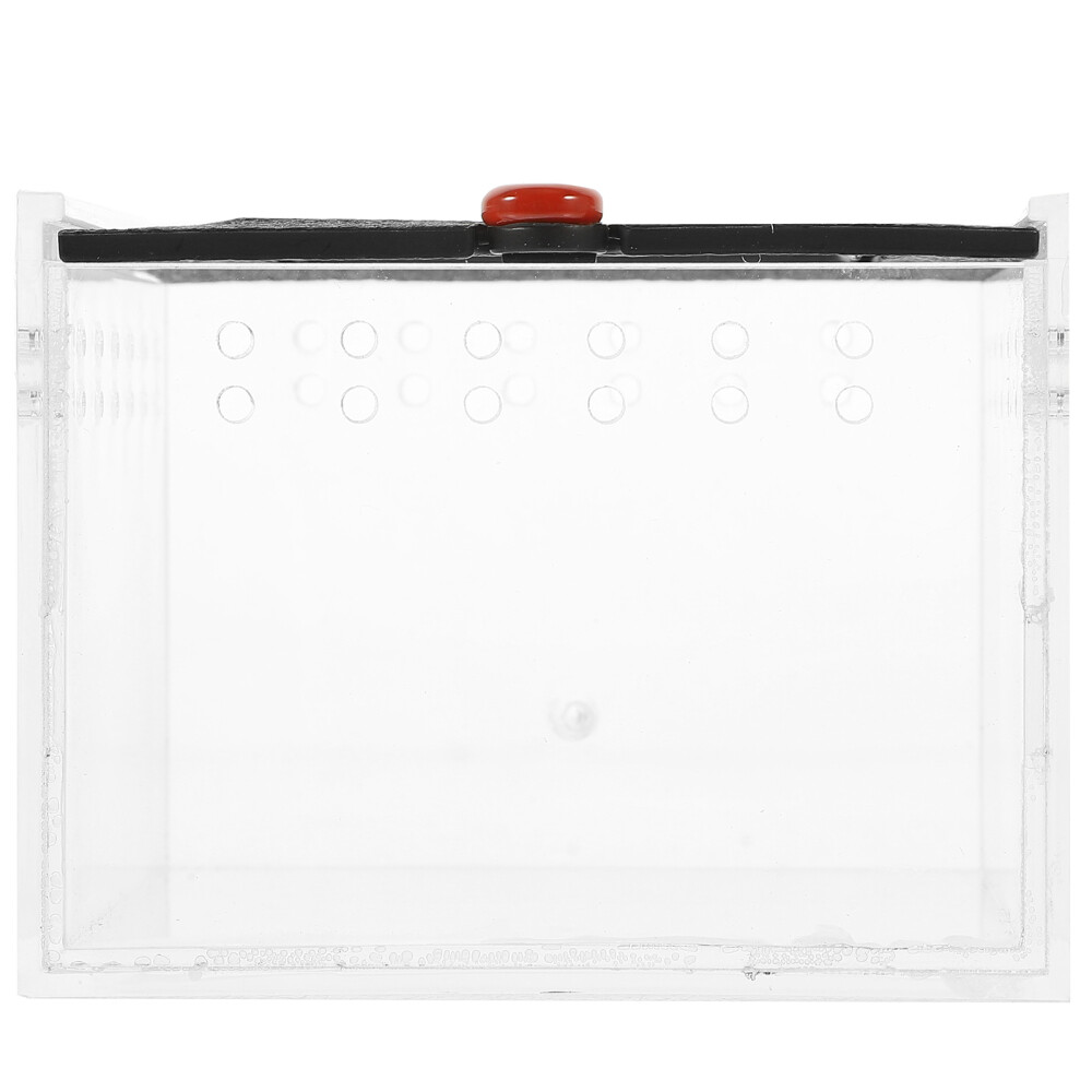 Nidi Per Rettili Terrario Verticale Custodie Kit Ventilato Allevatori