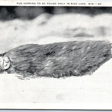 c1930s Rice Lake, WI Fur Herring Exaggerated Hairy Fish Altered Linen Comic A329