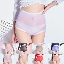 Enchanting Sheer Underpant Knickers for Women Glossy High Waist Briefs