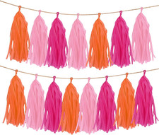 Papier Quasten Banner Bunte Deko Tassel Girlande Party