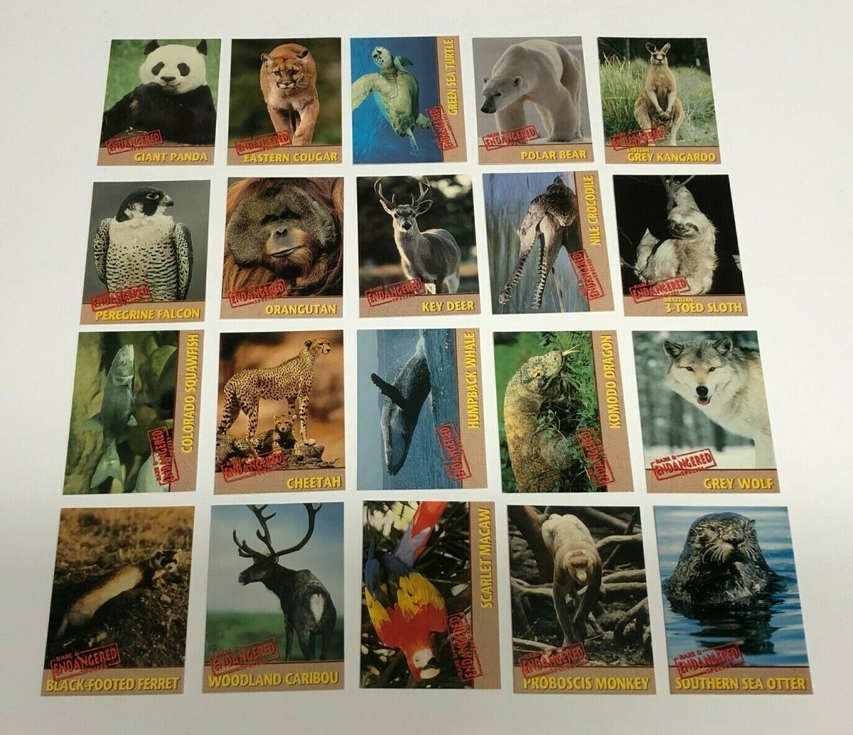 1992 Rare & Endangered Species Trading Cards Complete Set (1-20