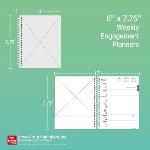 2024-2025 2-Year Planner Best Day Ever Pocket MTV Graphique de France GF20425 - Picture 6 of 6