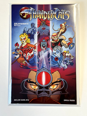 THUNDERCATS #1 - STEVEN ALOHA - NYCC EXCLUSIVE TD - 1ST PRINT
