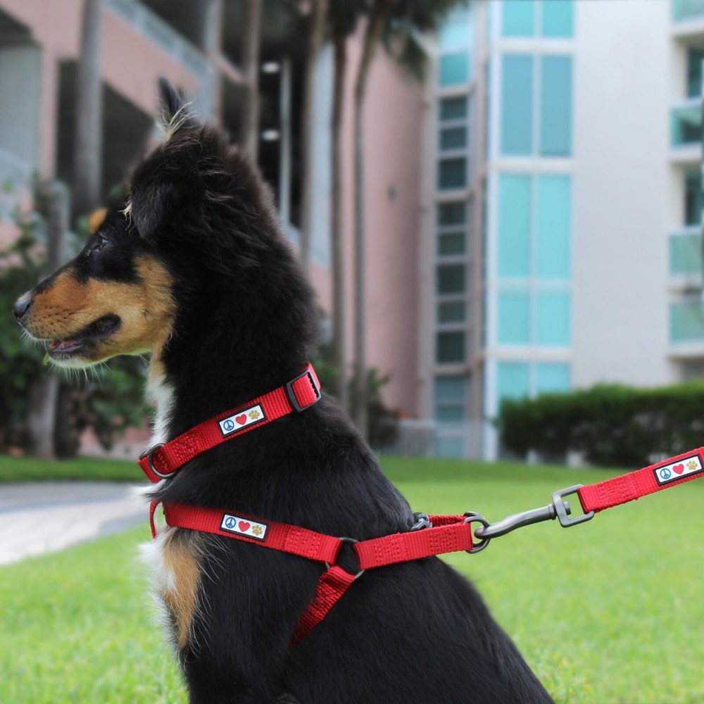 Dog Harness or Puppy Harness available Extra Small Small Medium Large Solid