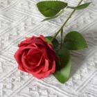 Bild 6 von 8