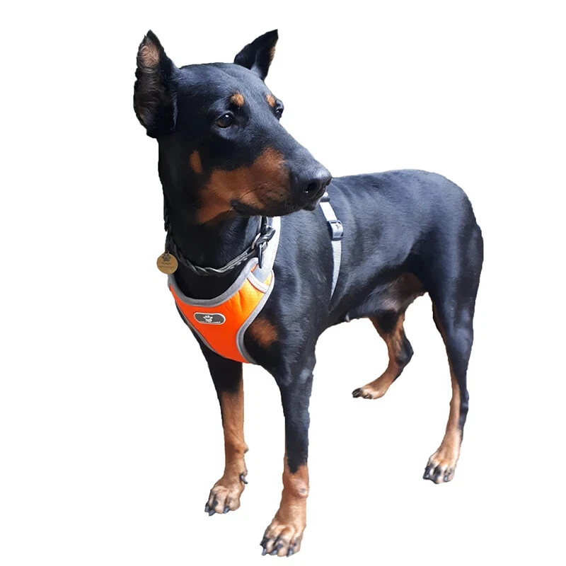 Dog Harness Vest Breathable Dog Training Reflective Nylon Pet Chest Strap New US