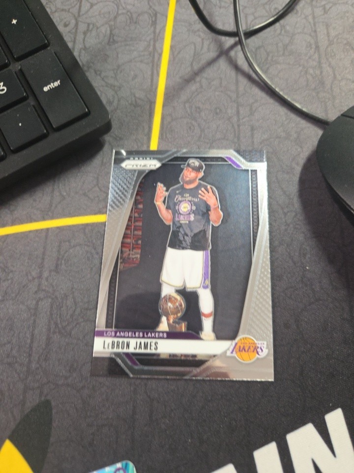 2024-25 Panini Prizm LEBRON JAMES Trophy Image Variation SSP #130 Lakers