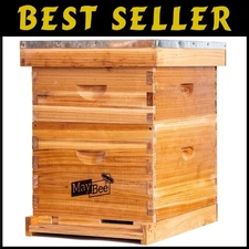 Beginner Beehive Kit with 10 Frames, Foundations