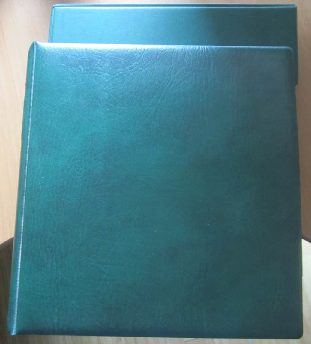 Album De Timbres Prophila – 64 Pages Blanches Divisées – Couverture Rembourrée Vert – 23 X 30,5 Cm – 9 Bandes Par Page