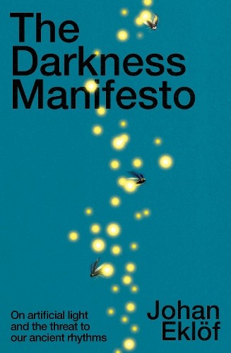 The Darkness Manifesto: On Artificial Light and the Threat to Our Ancient Rhyth - Image 4