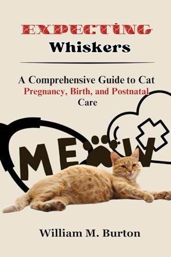 Stunning Cat Whisker Sensitivity And Pregnancy Headaches image