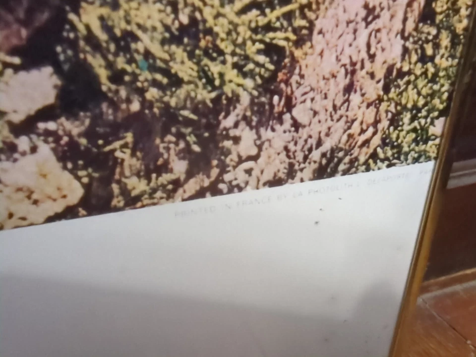 RARO CARTEL GRANDE ANUNCIO COCHE CONCESIONARIO PEUGEOT 404 ENMARCADO FRANCIA DE COLECCIÓN 33X23 MCM Foto 3 de 4