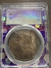 1884-O Morgan Silver Dollar TONER MS63 PCGS ( Traderbea Epic chase box)