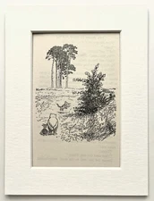 Winnie The Pooh - Vintage Mounted Black & White Print - Milne Shepard - 23