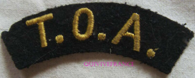 IN30884 - Shoulder Patch TOA Occupation Troops In Germany