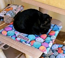 Personalized Cat Mat for Indoor Cats, Cute Cat Bed Pad, Handmade Soft Velvet Pet